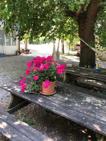 Agriresidence San Pietro Bibione Exterior photo